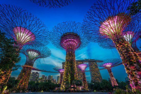 The 10 Reasons Why You Should Visit Singapore | Touristically