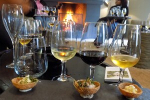 Cape Town wine tasting