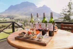 The Wine Tour, Cape Town