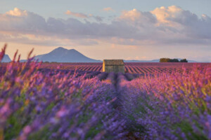 Provence, France