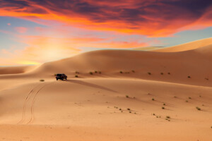 Desert Safari Abu Dhabi