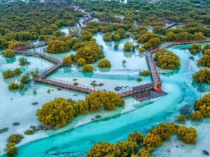 Jubail Mangrove Park, Abu Dhabi