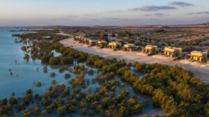 Sir Bani Yas Island