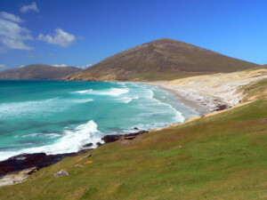 Falkland Islands, South Atlantic Ocean