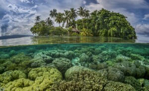 Vangunu Island, Solomon Islands