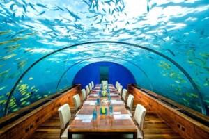 Ithaa Undersea Restaurant, Maldives 